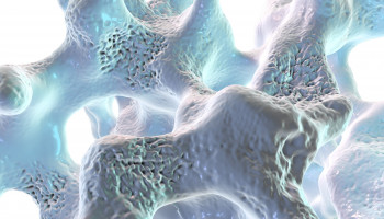 Osteoporosis Treatment