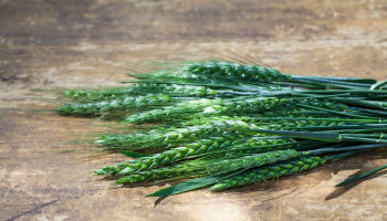 Non-coeliac Sensitivity