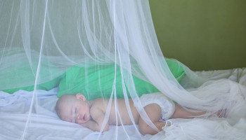 Japanese encephalitis in a Victorian infant