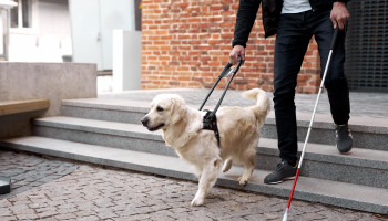 AMA Guides to the Evaluation of Permanent Impairment, Fifth Edition